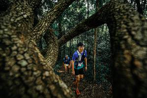 BIB: 
                            <button type="button" onclick="openModal(25670774)" class="btn btn-primary btn-sm float-right btn-popup" data-toggle="modal" data-target=".modal-high-quality">
                        <i class="fas fa-shopping-cart"></i> Add to Cart
                    </button>
                                            <button type="button" onclick="isThisMe(25670774, true)" class="btn btn-success btn-sm float-right btn-popup btn-isme hidden" data-toggle="tooltip" data-placement="bottom" title="นี่คือรูปของคุณใช่ไหม คลิกที่นี่เพื่อเอาเข้าอัลบั้ม">
                        <i class="fas fa-plus"></i> Add to album
                    </button>
                    <button type="button" onclick="isThisMe(25670774, false)" class="btn btn-warning btn-sm float-right btn-popup btn-isnotme hidden">
                        <i class="fas fa-ban"></i> Remove from album
                    </button>